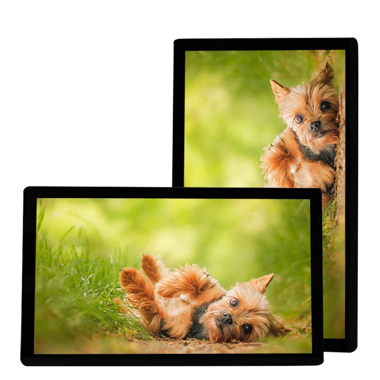 Настенный 32 43 49 55 65 дюймов Android Tablet IPS экран киоск Wifi USB RJ45 порт Android Digital Signage