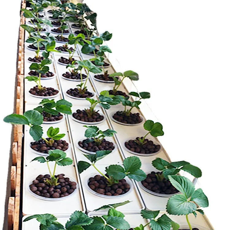 LT339 Plastic Hydroponic Grow Pots Strong Bearing Capacity Plastic Growing Trays Cheap Plastic Flower Pot