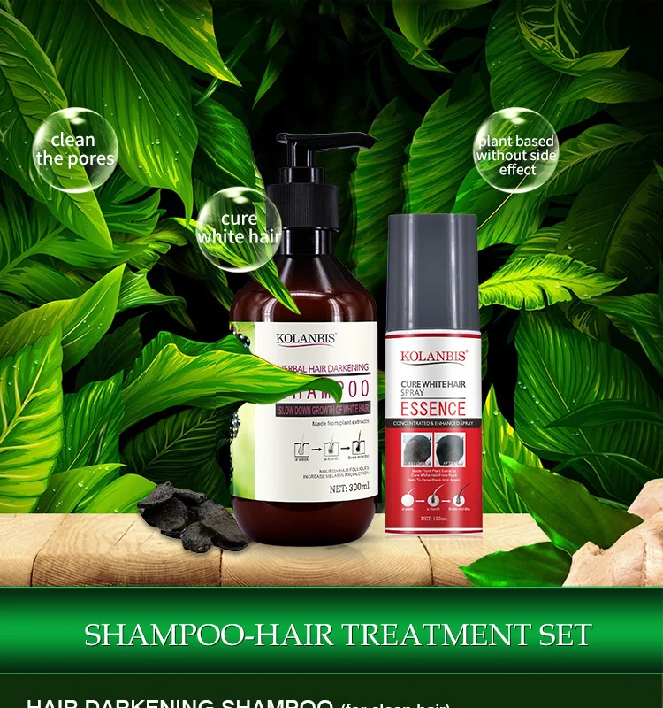 Hot Sell New Product Spray Form Cover Gray Hair Lotion Black Color Hair Spray