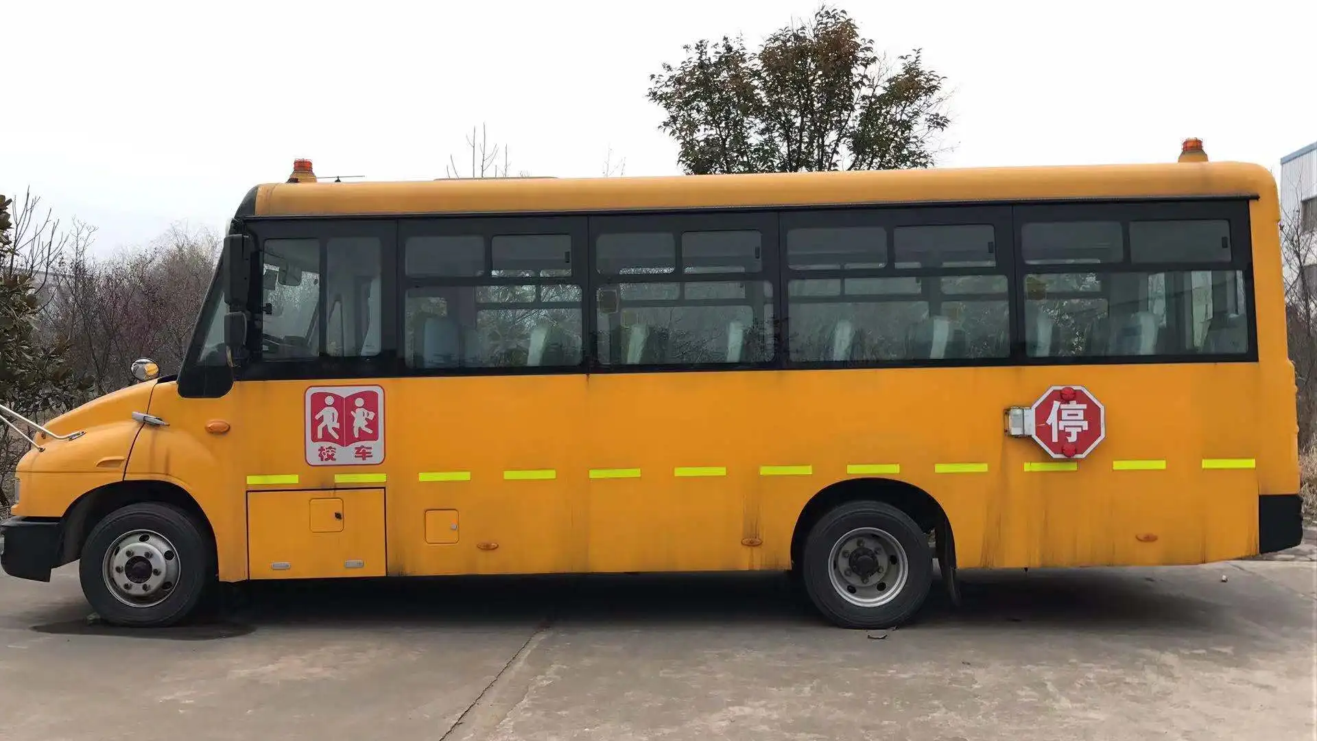 Dongfeng 50 Seats School Bus Yellow School Bus