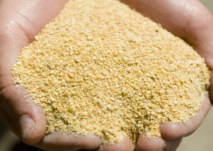 High The company soybean meal 43 protein