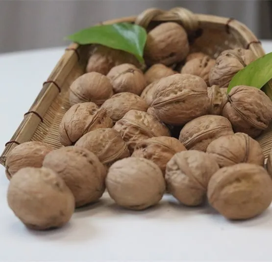 Top Grade Walnuts With Shell Kernel Dried Walnuts