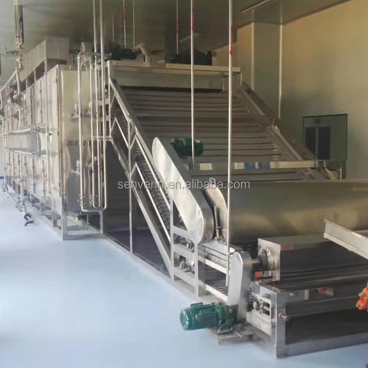 Mesh-Belt continuous Drying machine for Dehydrated vegetables and mango dryer