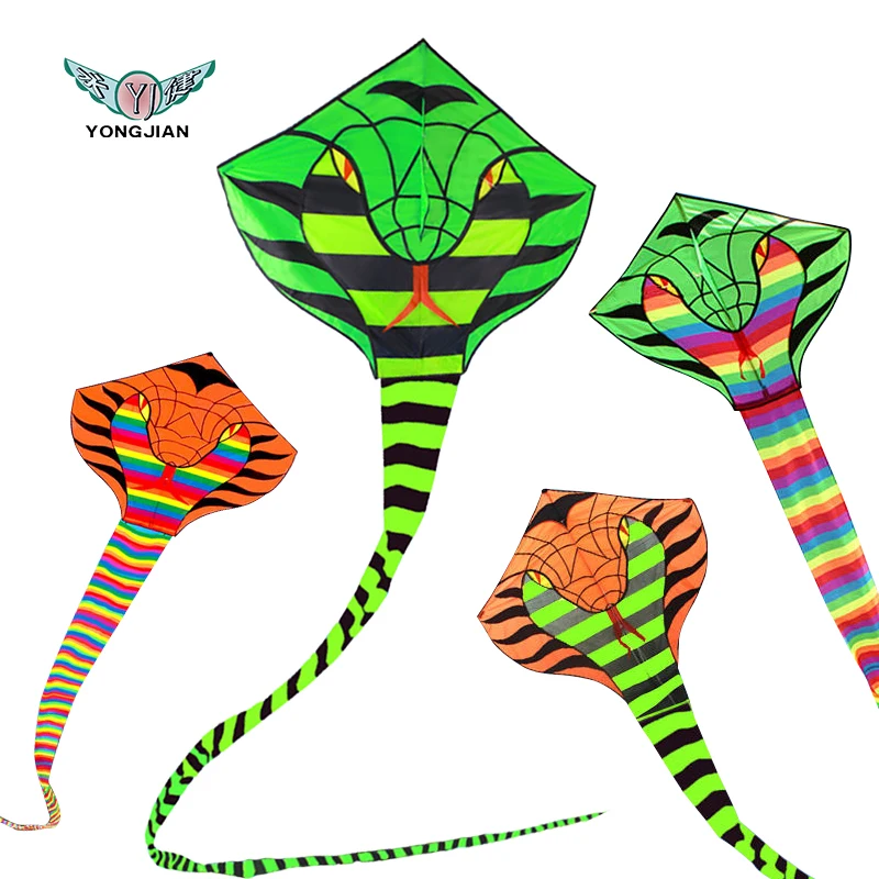 International Kite Festival the same type of the same quality super large flying long-tail cobra kite