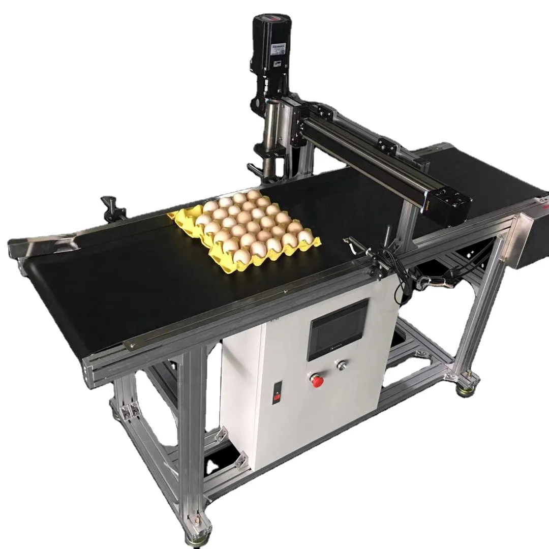 egg conveyor,egg inkjet printer conveyor ,egg inkjet coder conveyor