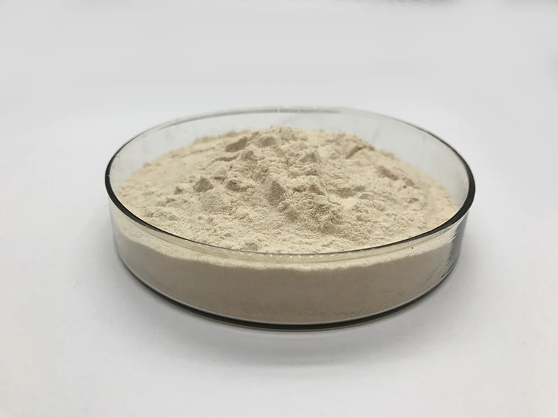 
Food Grade High Quality Hemicellulase Enzyme 