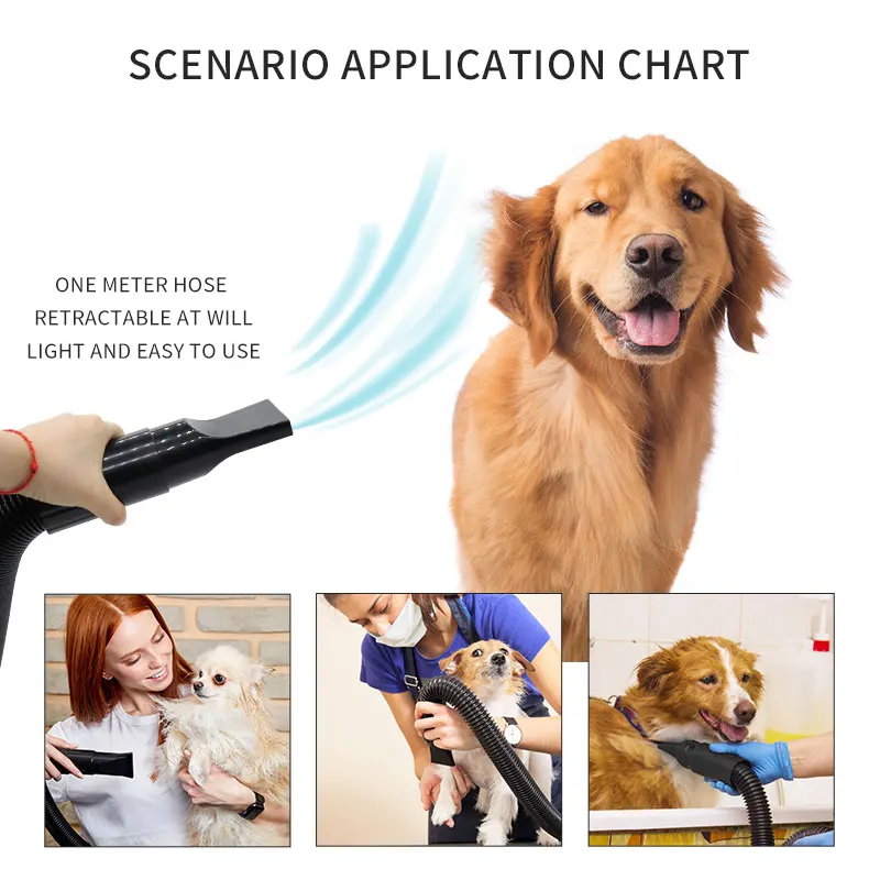Wholesale high power mute Heating Adjustable Speed Nozzles Pet Dog Cat Hair Dryer Machine Grooming