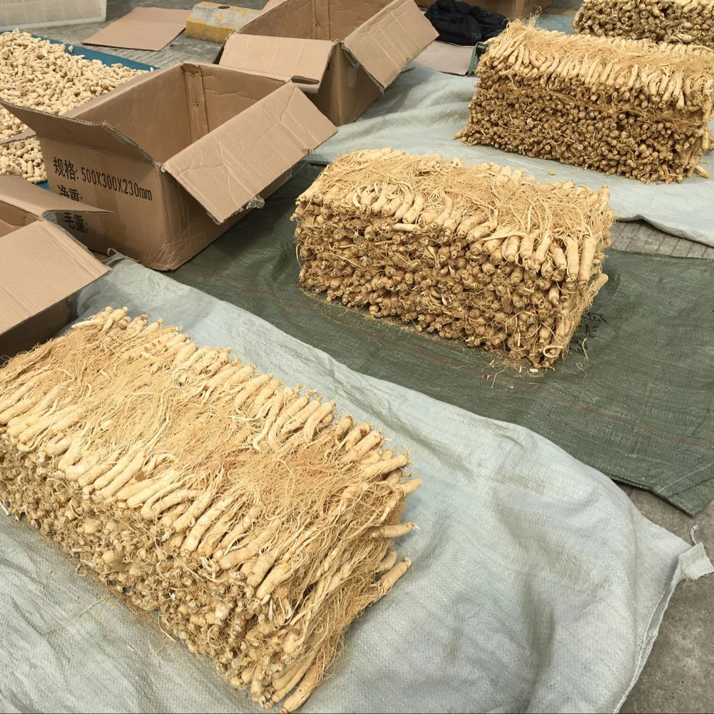 Китайские травяные сушеные органические семена женьшеня panax, 25 шт.