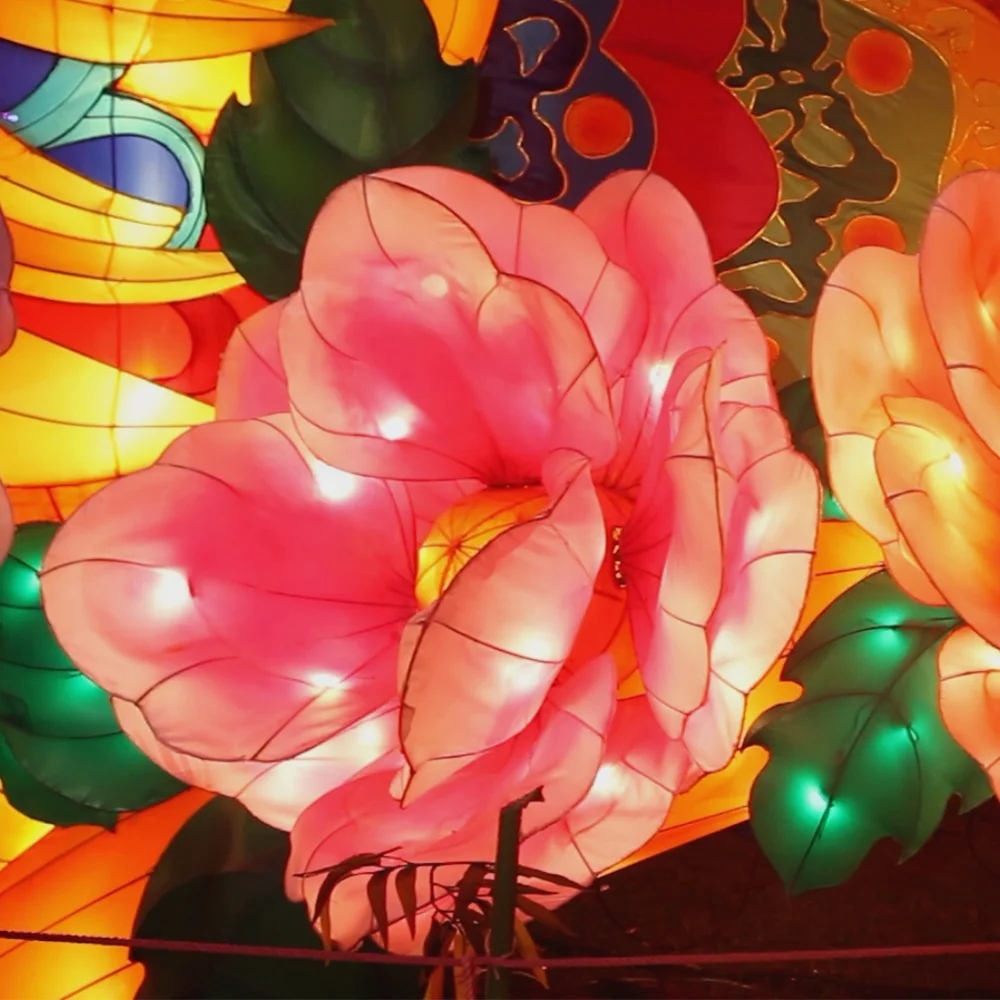 Moving  Blossoming  Outdoor Waterproof Chinese Flower Lanterns Decorative Solar Lantern Festival Flower  for Garden