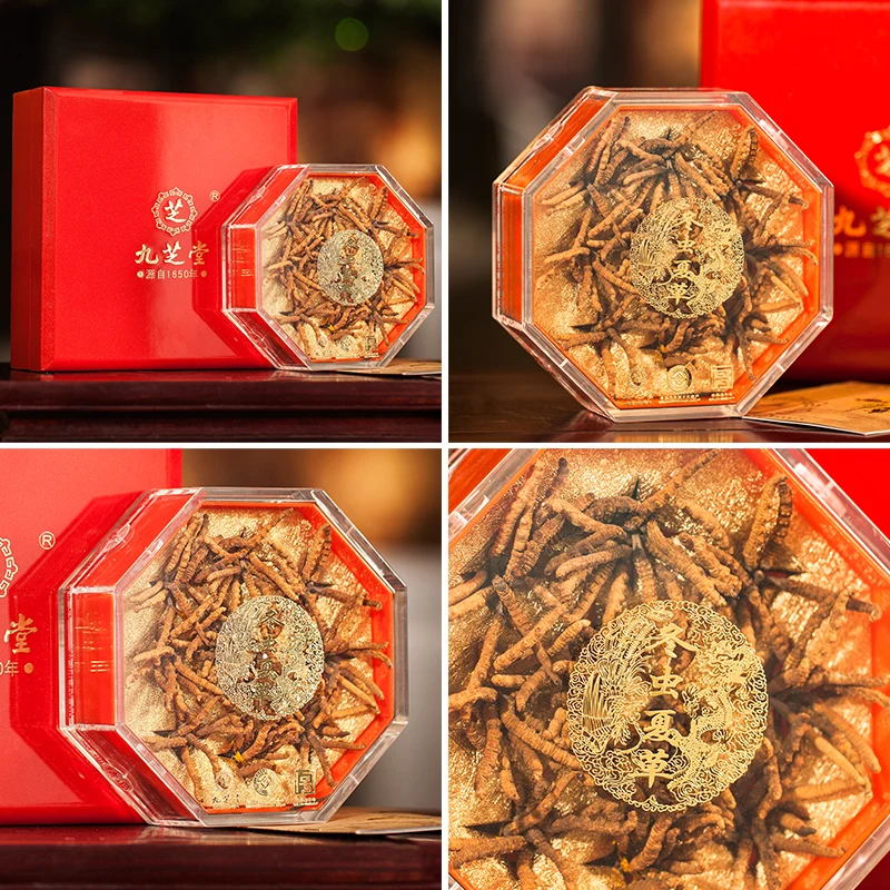 
Jiuzhitang Cordyceps Sinensis Dong Chong Xia Cao Herbal Medicines Aweto 
