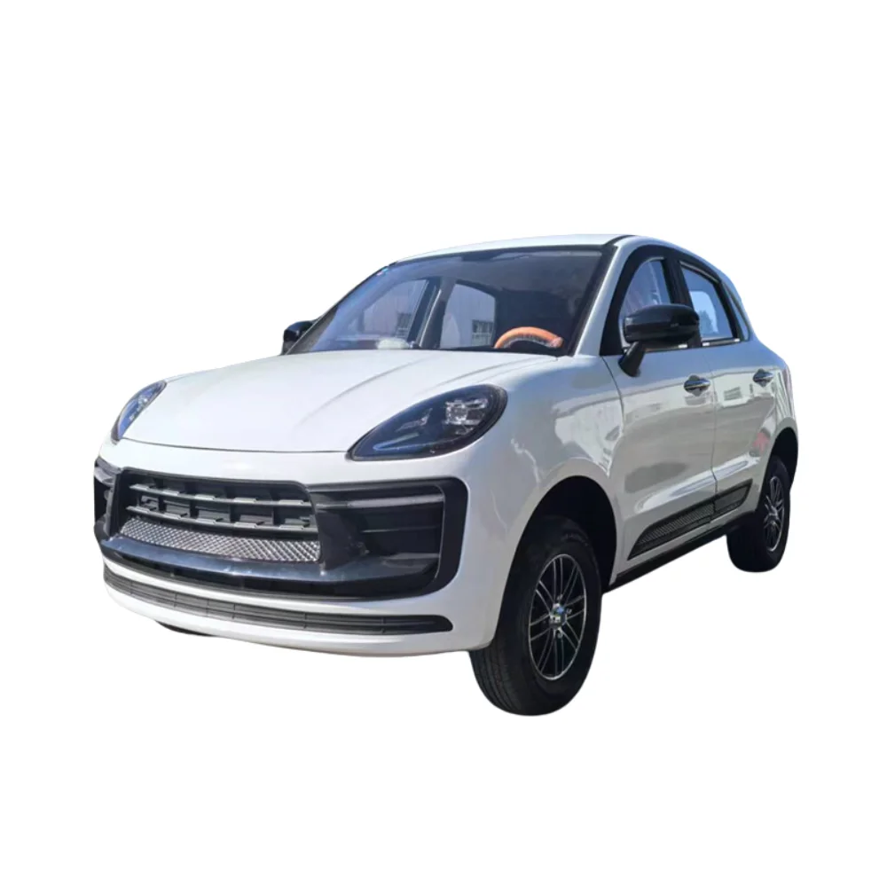 oil and electricity dual use Electric SUV China  New Energy Vehicle   5 units straight to Dubai in a container