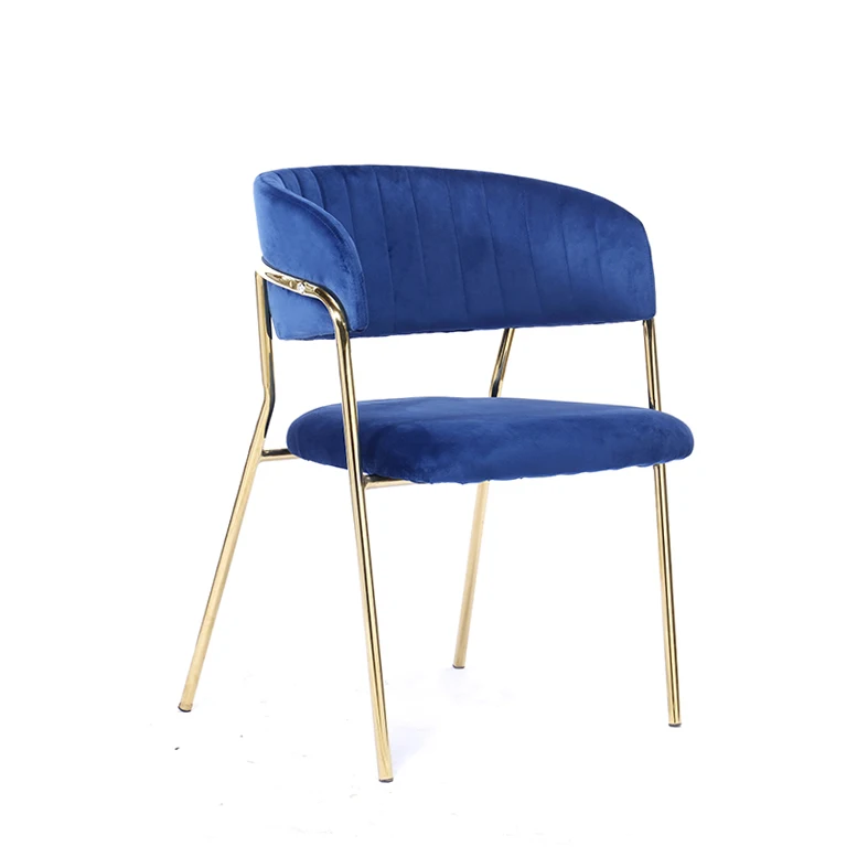 
Design Dining Chairs In The Middle Century Velvet Fabric Chair With Metal Legs Leisure Sofa Armrest Elephant 