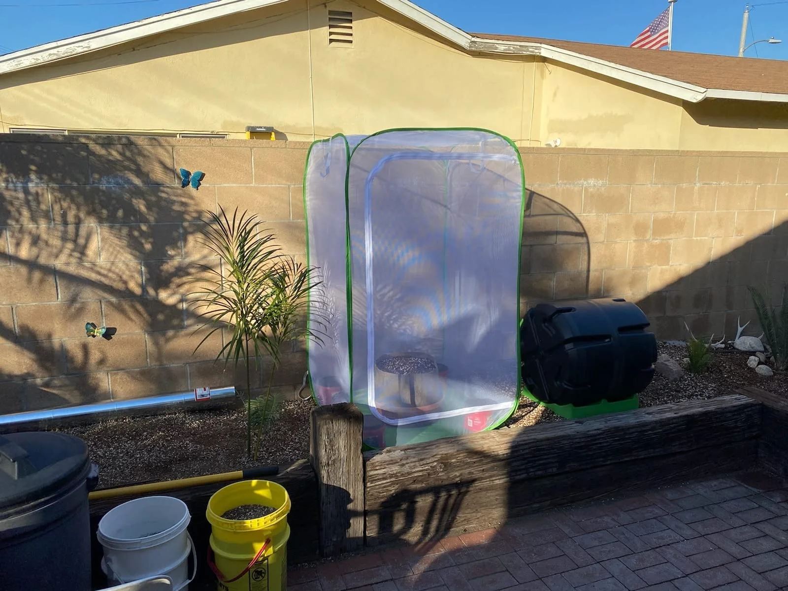 Terrarium Pop-up foldable Giant Collapsible Insect Mesh Cage butterfly habitat