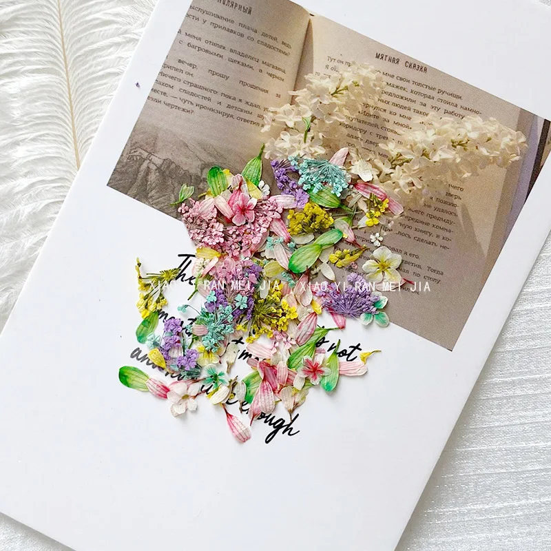 Mix Design Nail Art Dried Flowers Mini Real Flowers 3D Natural Flowers Nail Decorations for DIY Craft Accessories