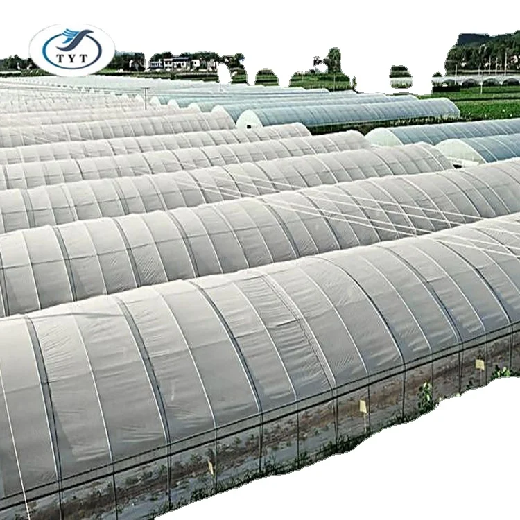 Hot dipped galvanized steel frame greenhouse Pipe manufacture in Tianjin TYT