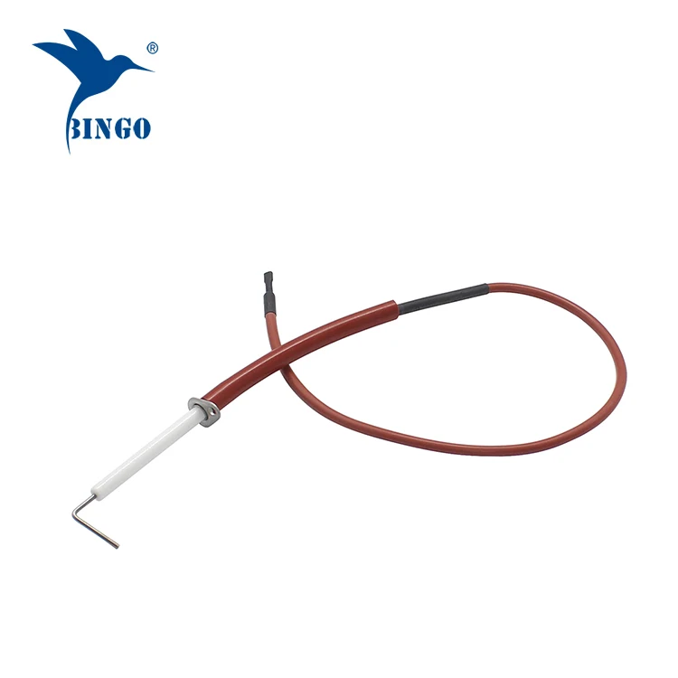 boiler ignition electrodes for boiler use
