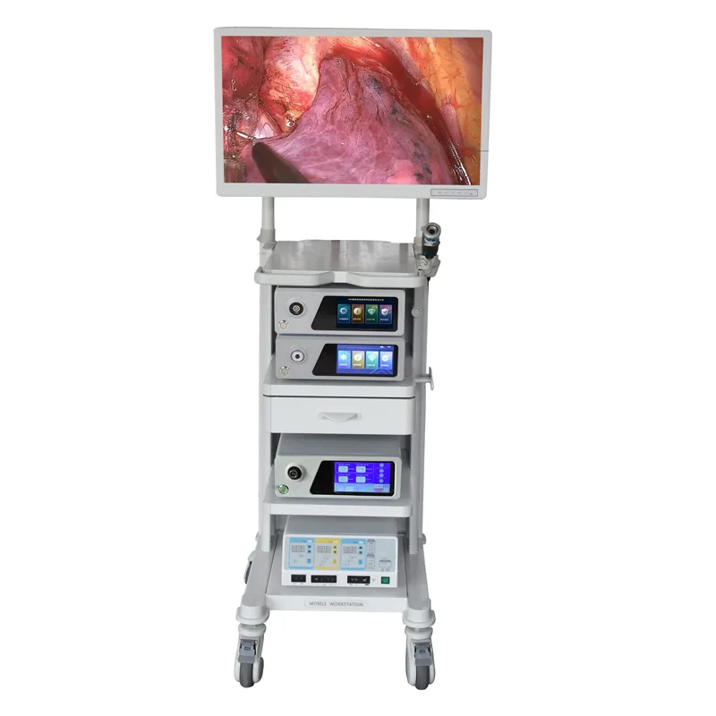 4k  fluorescence  Medical portable  endoscope camera for fiber endoscopic HD with light source