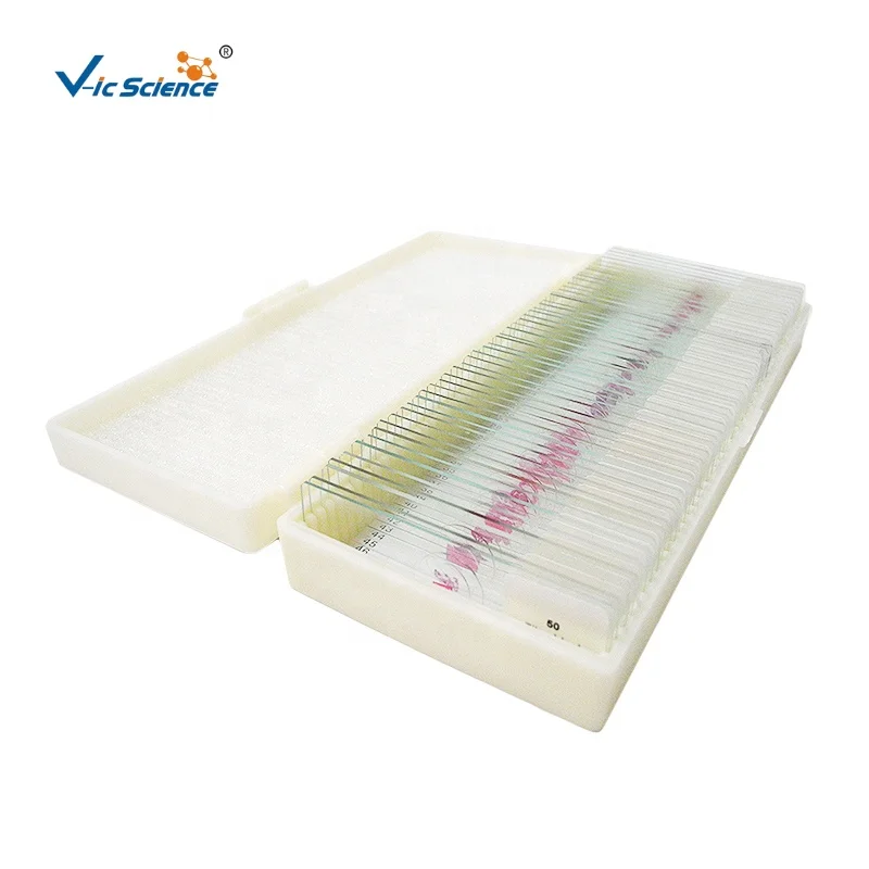 Slides Of Biology And Pathology Prepared Microbiological Bacterial Specimens Microscope Slide Set with Plastic
