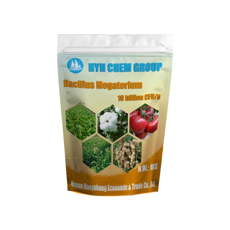 Bacillus Megaterium promotes strong plant deep root cold-resistance