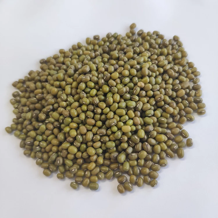 Китайские крупные бобы Mung для продажи
