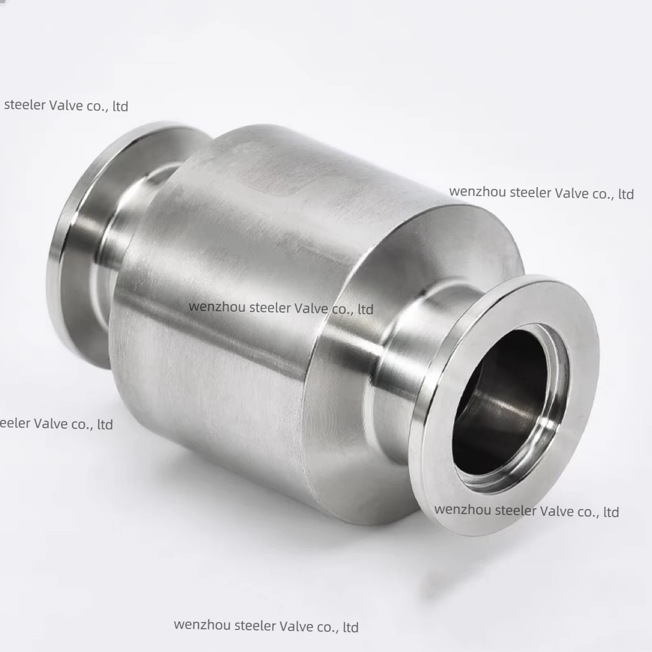 High quality Stainless steel SS304 Sanitary Vacuum Modulator Check Valve