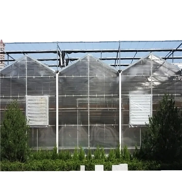 
multi span polycarbonate greenhouse for sale  (60824238372)