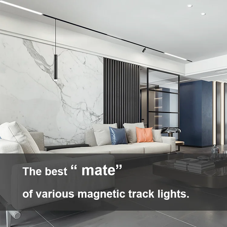 2022 New Developed 100-240V DC48V 100W High PF>0.95 Constant Voltage LED Driver for Magnetic Suction Track Lights