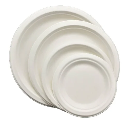 Compostable Paper Pulp Cup Bowl Plate Lunch Box Set Biodegradable Sugarcane Food Container Disposable Bagasse Tableware