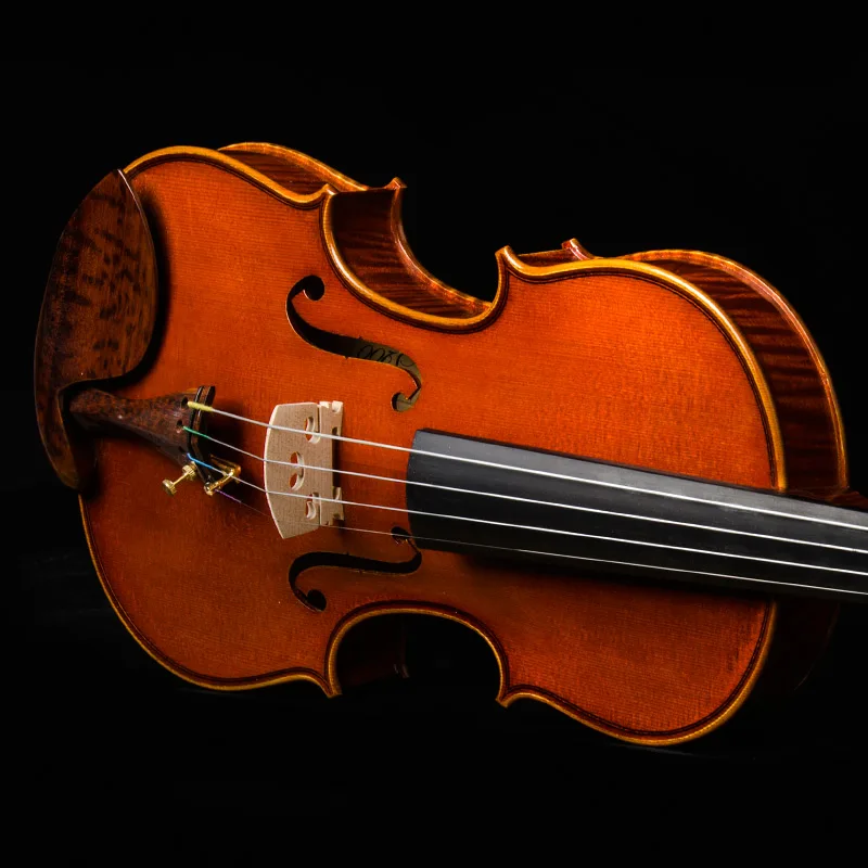 CHRISTINA Violin S200A Best Brand Performing prices Free case string bow