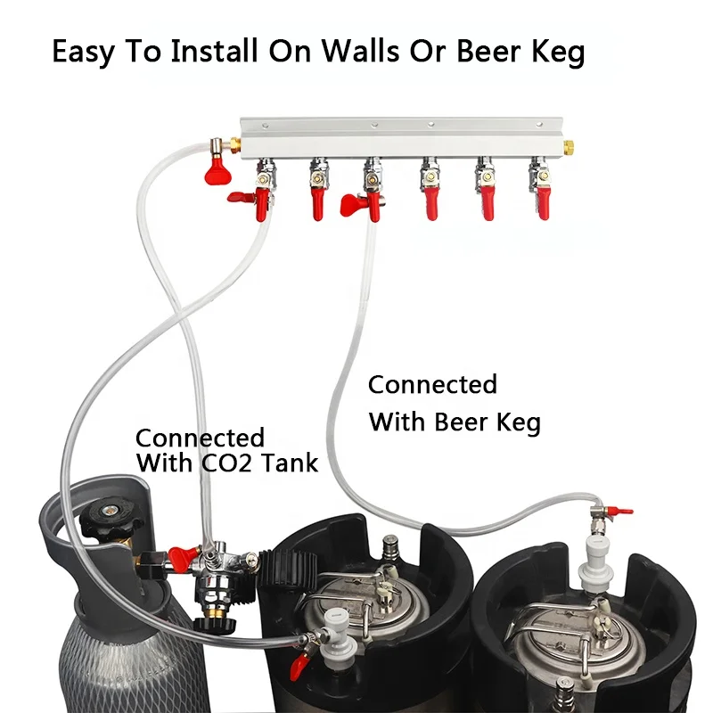 Gas Manifold/Distributor 5/16 Barb Check Valve Regulator CO2 Manifold Gas Manifold 2 Lines for Kegs Accessories