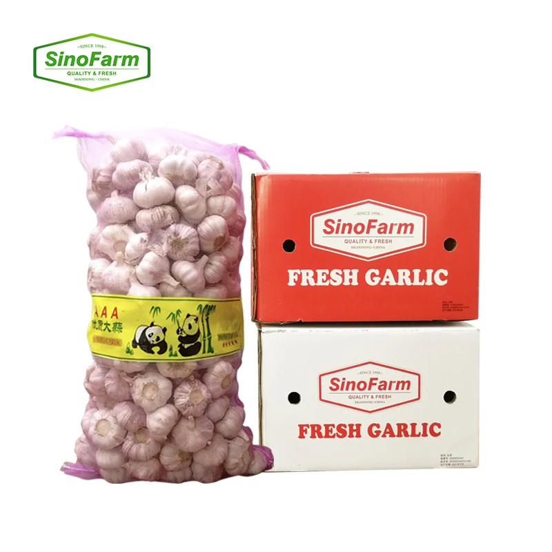 High quality fresh garlic normal white pure white from Chinese professional garlic wholesale supplier