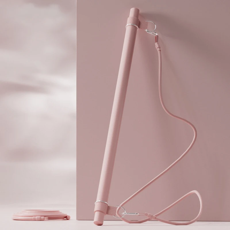 Wholesale Women Home Gym 12pcs Resistance Band Set TPE Elastic Resistance Bands With Pilates Bar