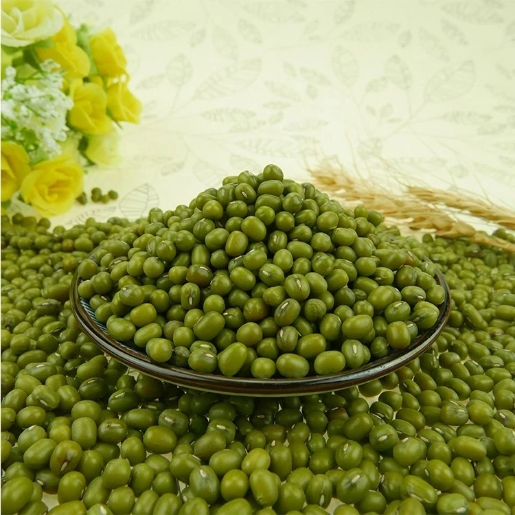 Mung Beans Non-Gmo Organic Mung Dall Dal Monge Green Mung Bean Price
