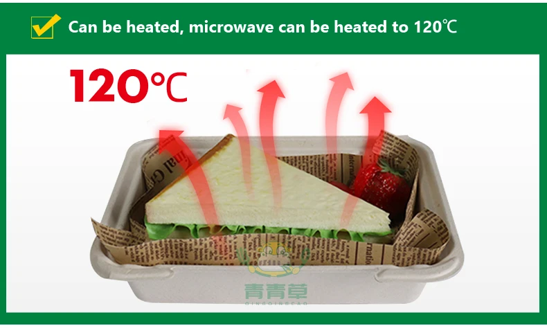 one time use sugarcane bagasse container molded paper pulp box degradable tableware made in China