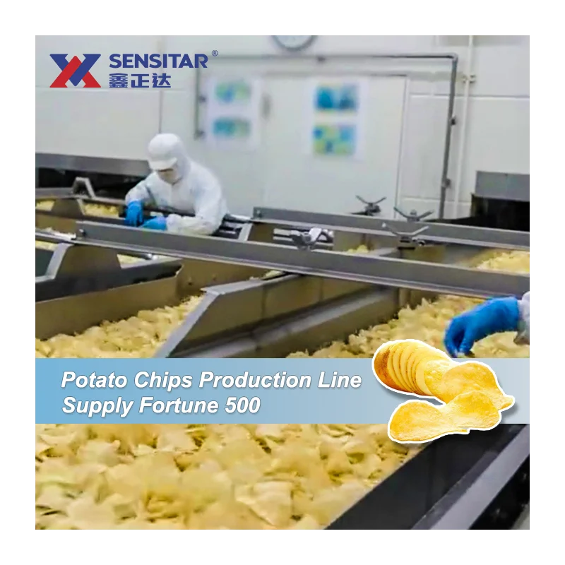 Competitively Priced Chip Making Equipment Automatic Efficient 100kg Fried Fresh Potato Chips Production Line Machine