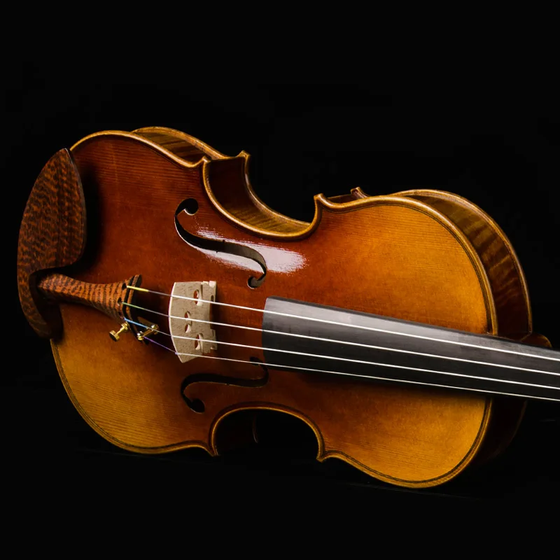 CHRISTINA Violin V10  Famous Brand Major prices Free case string bow