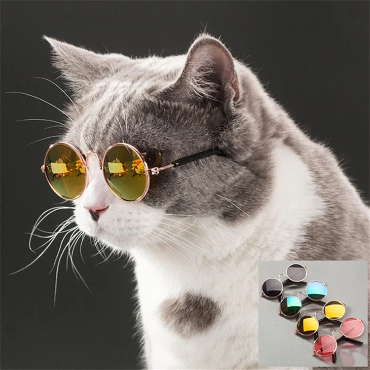 Cat Toy Creative and Funny Pet Cat Toys Glasses Pet Supplies Toy Cat Glasses