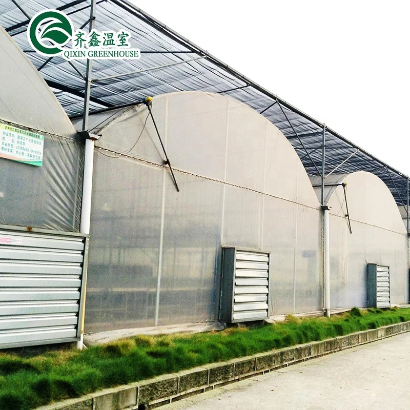greenhouse aquaponics hydroponic growing systems