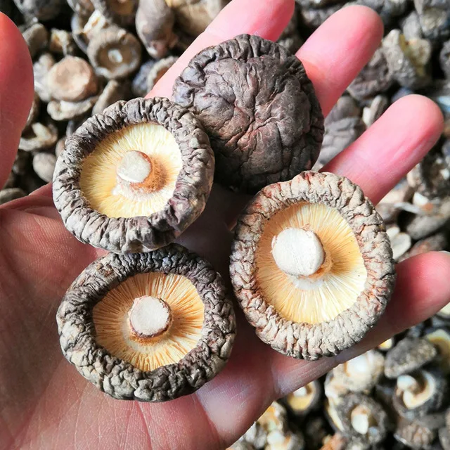 
Grade A Dry Shiitake Mushrooms 