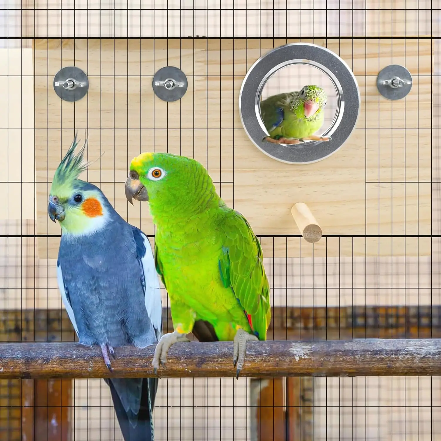 small beautiful parrot house Acrylic Transparent bird breeding nest box outdoor animal wooden cages of birds
