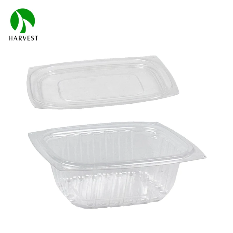 HB-24 Bread Cookie Salad Disposable Transparent Plastic Food Container