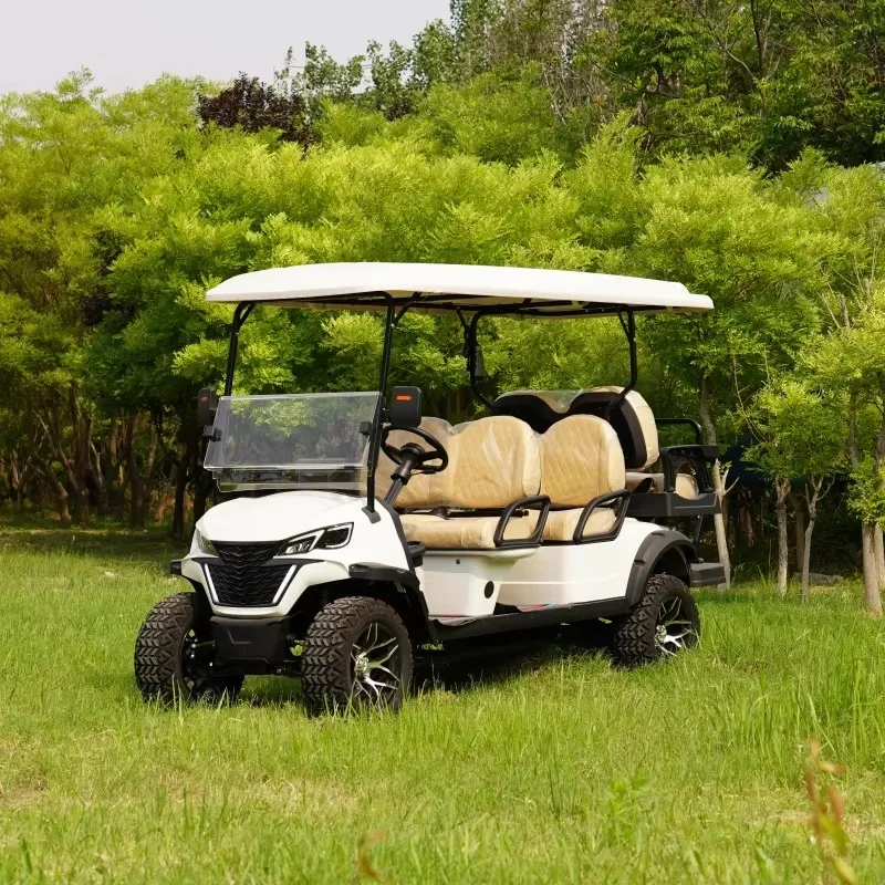 Custom 4-Seater Off-Road Buggy Electric Golf Cart with 5kw Motor and Lithium Battery  Electric Buggy electric Golf Carts on Sale