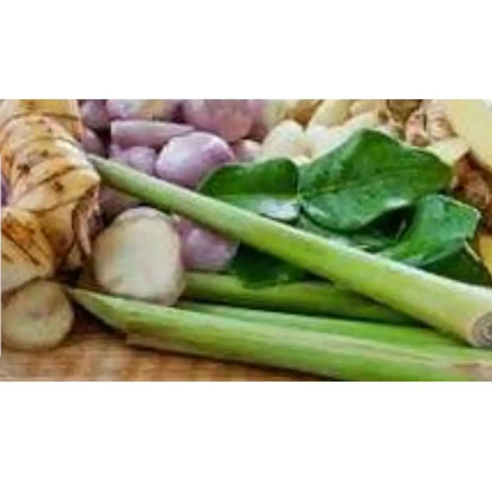 AD Fresh&Dried High Quality Thai Herbal Organic Galangal root Single Herbs & Spices Type and AD Drying Process Young Galangal