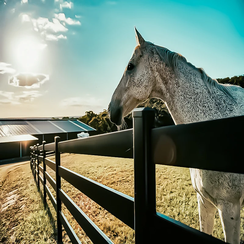 4x8ft PVC Farm Horse Paddock Fence Panel Black 3 and 4 Rail Driveway Fencing with Extrusion Technique for Ranches Driveways