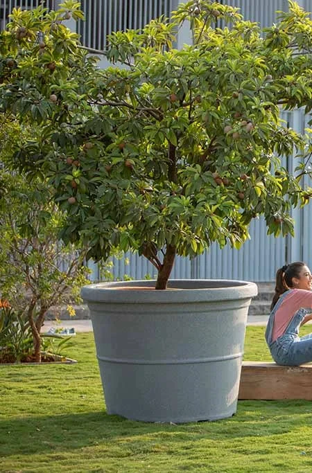 OEM ODM factory customize Garden Rotomolding Large Big Size Tree Plant Plastic Flower Planter Pots Decoration  Roto Molding