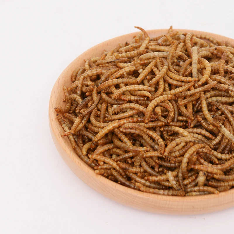 2021 direct high-protein insect bait pet edible dried mealworm