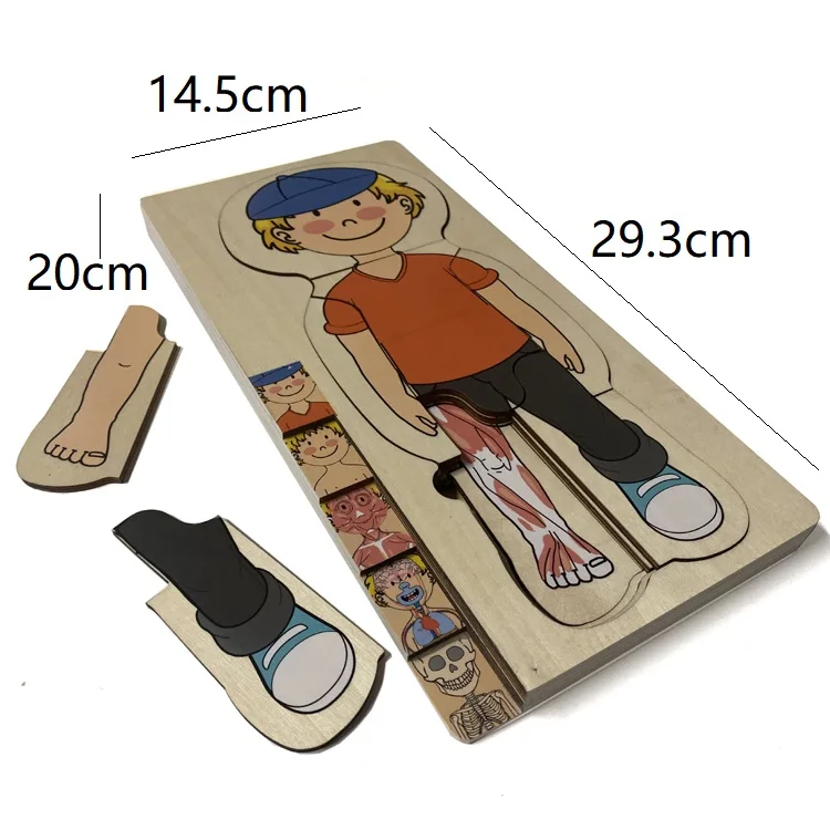 
Eco-Friendly Wooden Kids Toys Puzzle WD23017 
