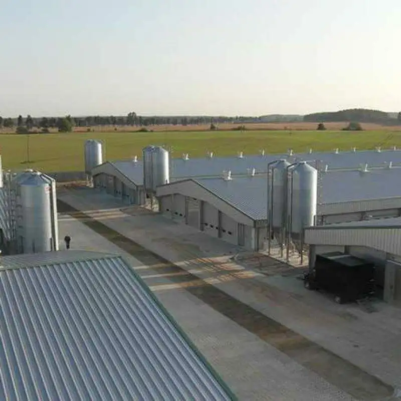 single or double storey custom made lightsteel prefabricated poultry houses for climate controlled livestock rearing