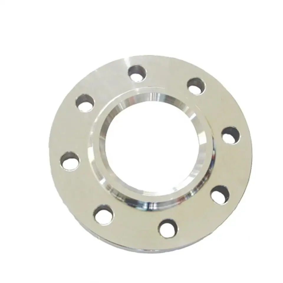 DONG LIU Custom Ansi Butt Welding Pipe Flange and Weldolet