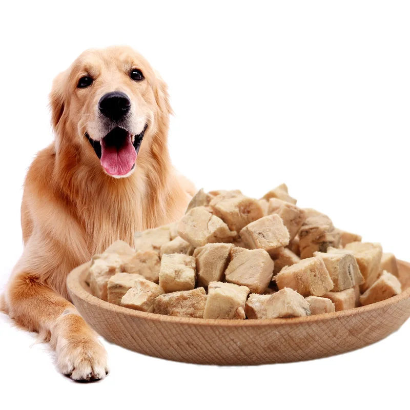 Free samples wholesale OEM block cube freeze dried salmon meat treat food for pet feeding (1600658448114)